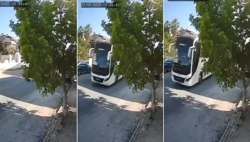 Dehşet Anları! Yolda Yatan Köpeği Ezip Geçen Sürücü Kim?