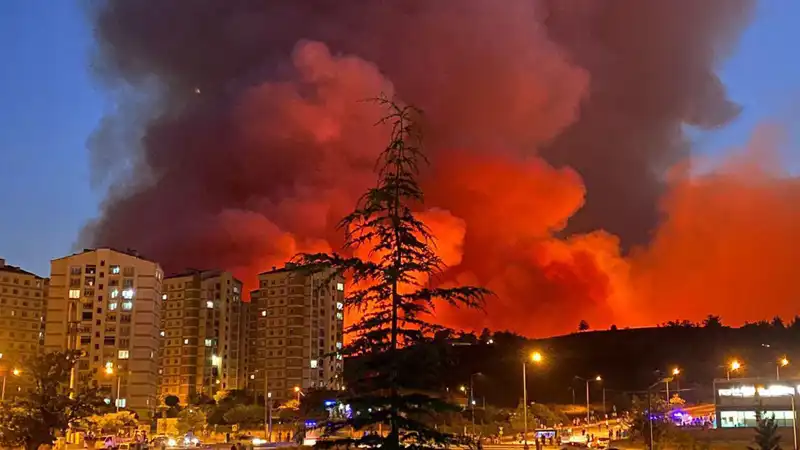Bursa'da Yangınlar, Şehri Alev Alev Sardı: Nedenleri ve Sonuçları