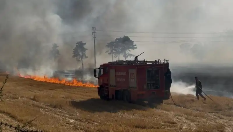 Kırklareli’nde Anız Yangını: Doğa ve Tarım Alanlarına Olumsuz Etkiler