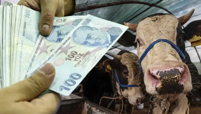 Emekli ve Memur Maaşları Kurban Bayramı Öncesi Yatıyor mu?