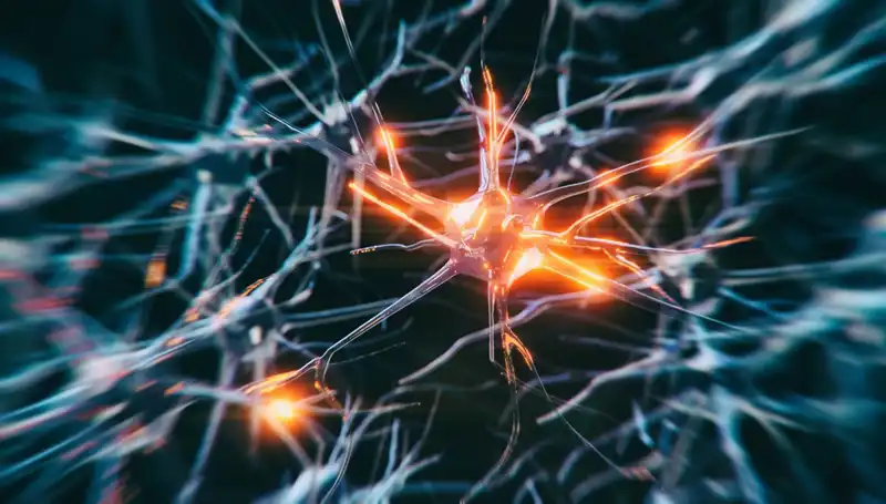 Alzheimer Vakalarının Artışı: Nedenleri Ve Çözüm Yolları Üzerine Kapsamlı Bir İnceleme