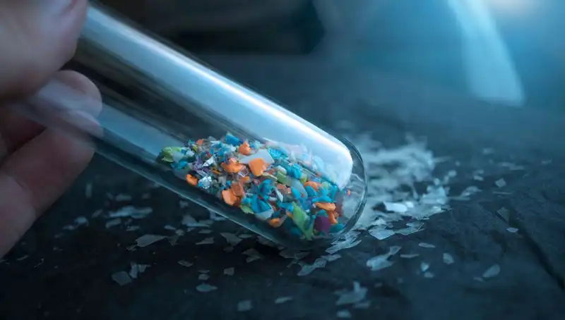 Mikroplastikler: İnsan Beyninde Oluşan Tehlikeli Etkiler ve Çözüm Yolları