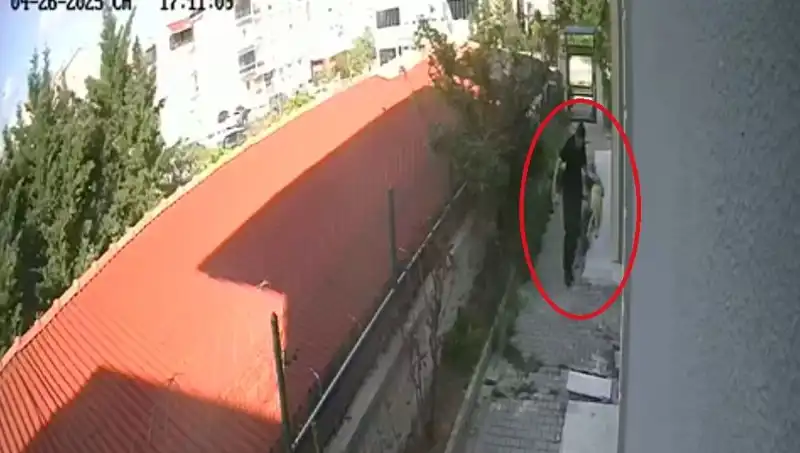 Doktorun Şok Edici İtirafı: Sahiplendiği Köpekler Evde Parçalanmış Bulundu