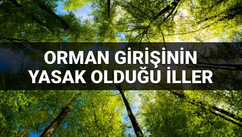 2025'te Orman Girişinin Yasaklandığı İller: Hangi Bölgeler Yeniden Değerlendiriliyor?