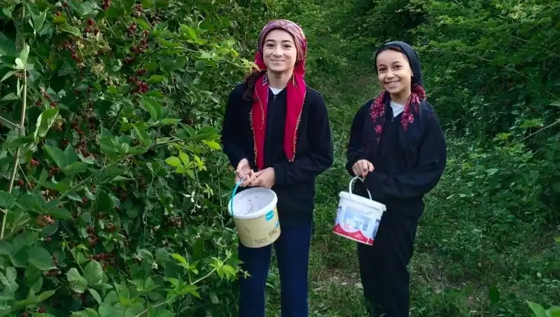 Kanserle Savaşta Güçlü Bir Yol Arkadaşı: Antioksidanların Etkisi