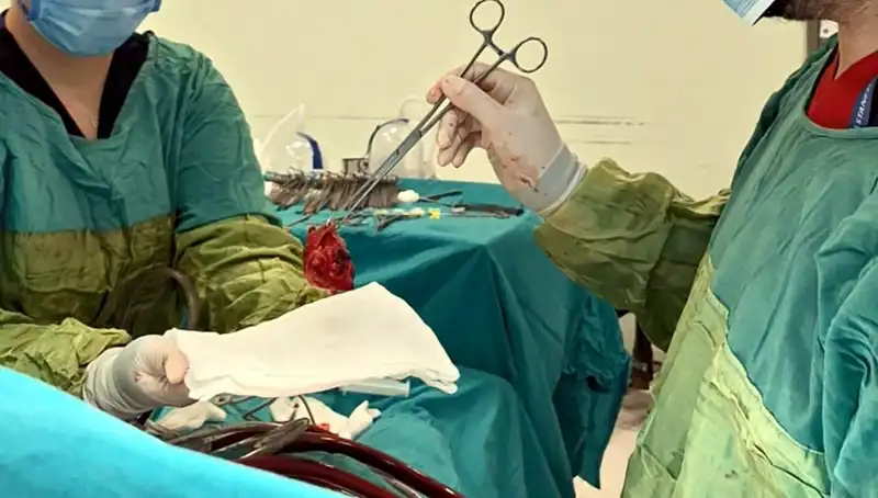 Kalp Kapağı Çürüyen Hastanın 7 Saatlik Ameliyatı: Mucizeler Gerçek Oluyor!