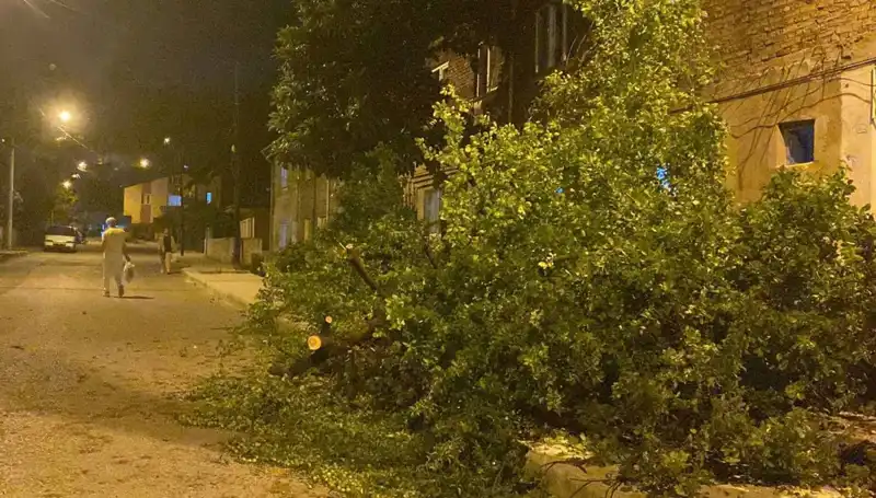 Karabük'te Fırtına: Doğanın Gücü Şehirde Hayatı Durma Noktasına Getirdi