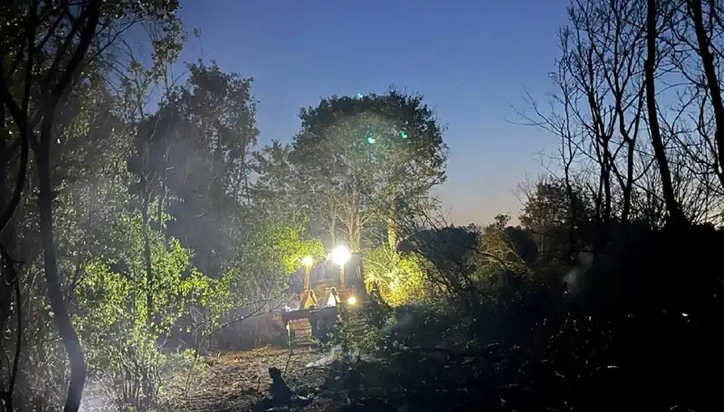 Edirne’deki Orman Yangını Kontrol Altına Alındı: Yanlış Bilgi ve Gerçekler