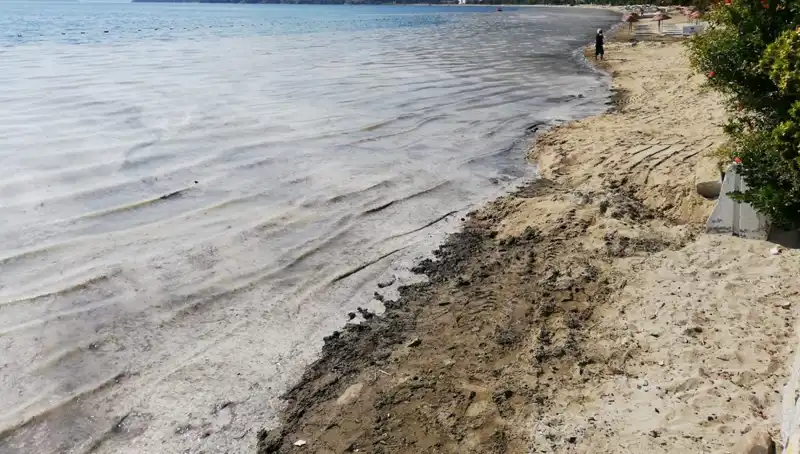 Türkiye'nin Müsilajla Mücadelesi: 268 İşletme Faaliyetine Son Verildi