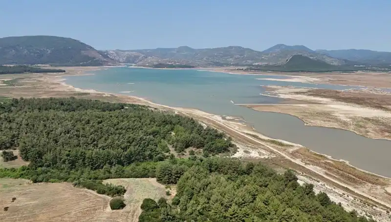 İzmir'de Tehlike Çanları: Geçen Yıla Göre Yüzde 50 Düşüş, Nedenleri Neler?