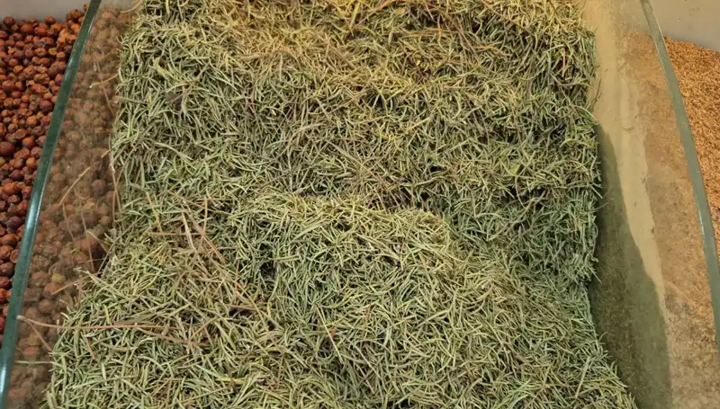 Yaz Aylarında İnternette Ölüme Davetiye Çıkaran Ürünler Artıyor
