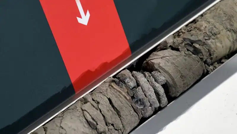 Müze Otoparkında Bulunan Dinozor Fosili, Bilim Dünyasını Hayrete Düşürdü