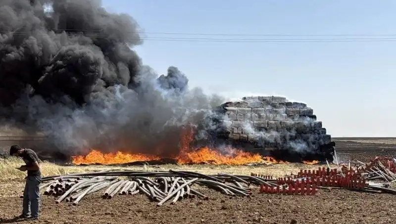 Mardin'de Anız Yangını: Çiftçileri ve Doğayı Tehdit Eden Tehlike
