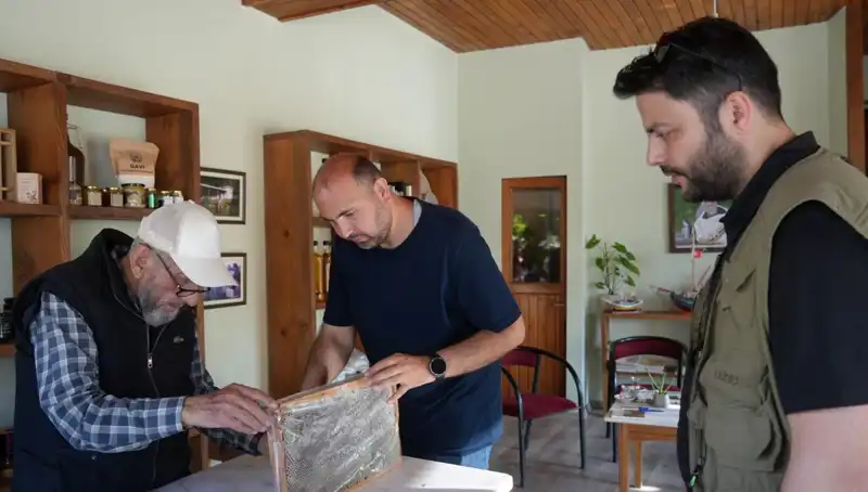 Şifa ve Tehlike: 1 Çay Kaşığıyla Tüketilmesi Gereken Bu Besin Nedir?
