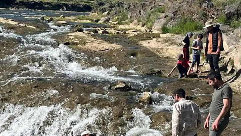 Doğa Harikası İnci Kefali Göçü: Turistlerin Yeni Gözdesi