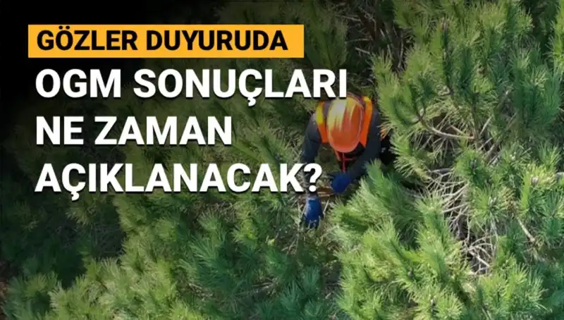 OGM Personel Alımı Duyurusuyla Heyecan Yarattı: 3 Bin 477 Sürekli İşçi Sonuçları Ne Zaman?