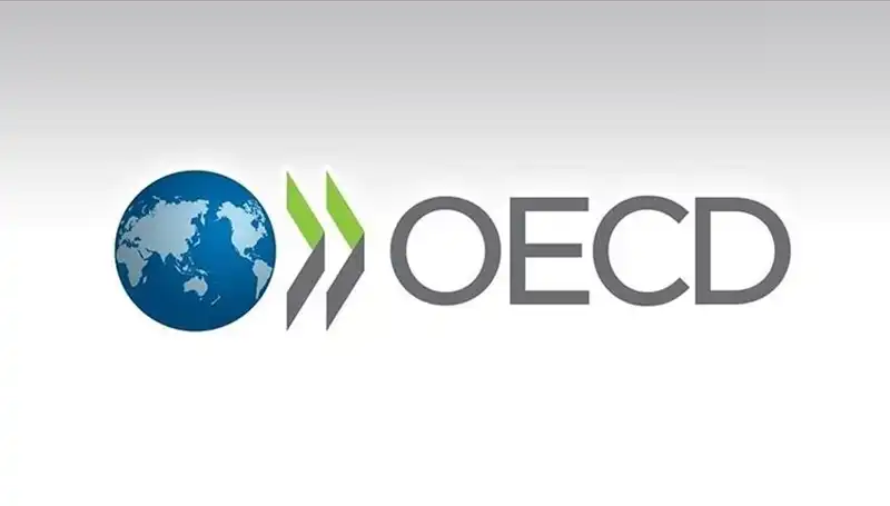 OECD, Türkiye İçin Büyüme Tahminlerini Revize Etti: Ekonomi Gelişiyor Mu?