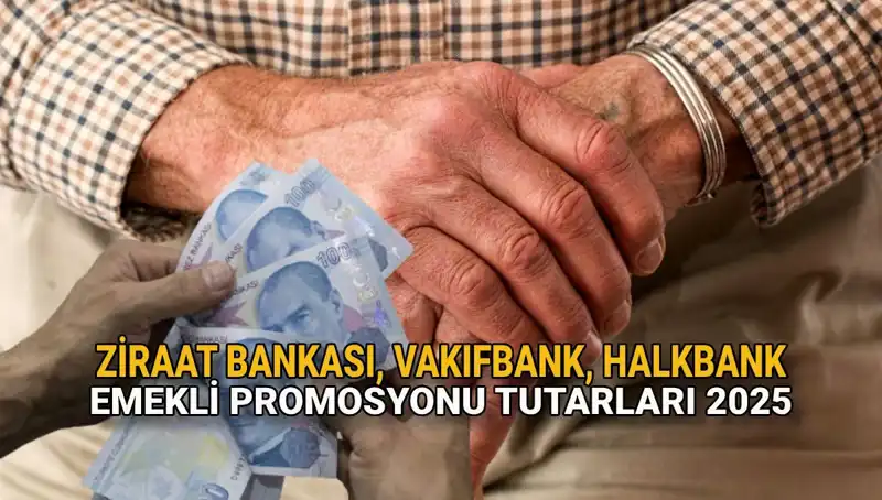 Emekliler İçin 2025'te Kamu Bankalarından Kaç Lira Promosyon Alınacak?