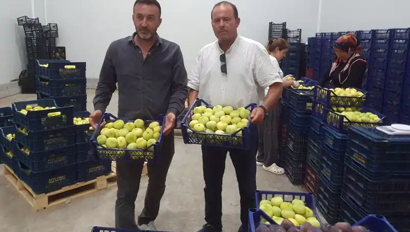 Mersinli Çiftçilerin Yüzü Güldü: İhraç Edilen Ürünler 20 TL'den Satılıyor