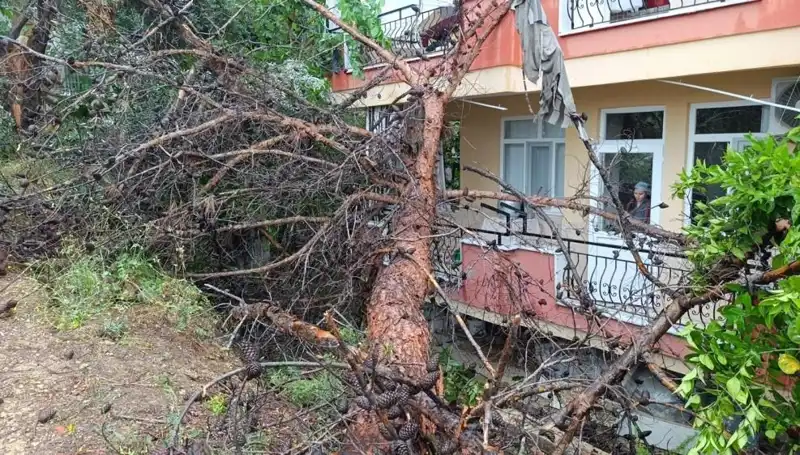 Yağmur Sonrası Felaket: Bina Çöktü, Hayatlar Tehlikede